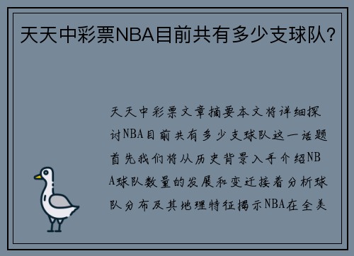 天天中彩票NBA目前共有多少支球队？